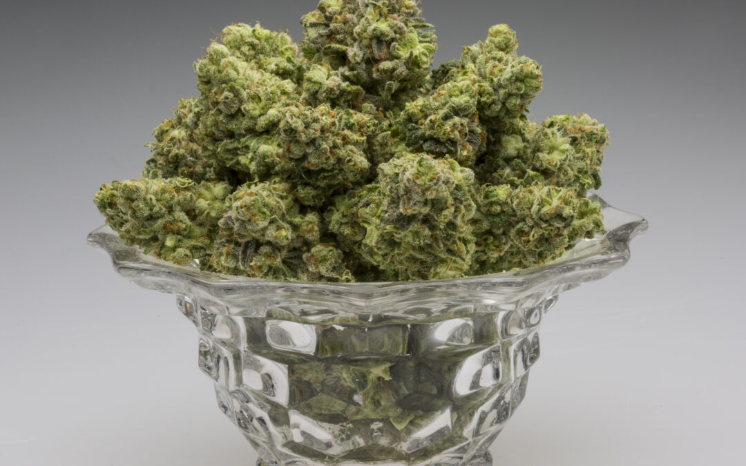 Cannabis Shelf Life: What Keeps Marijuana Fresh?