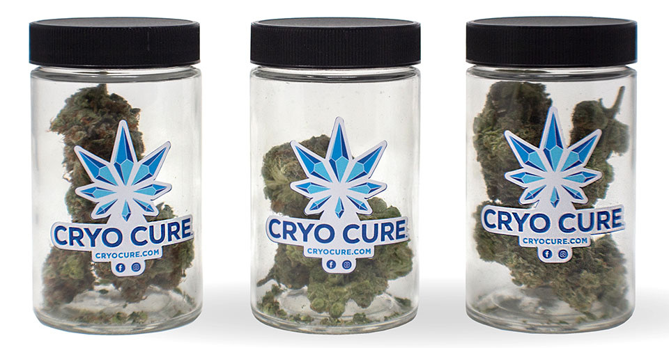 6 Ways Cryo Cure Beats Freeze Dried Weed