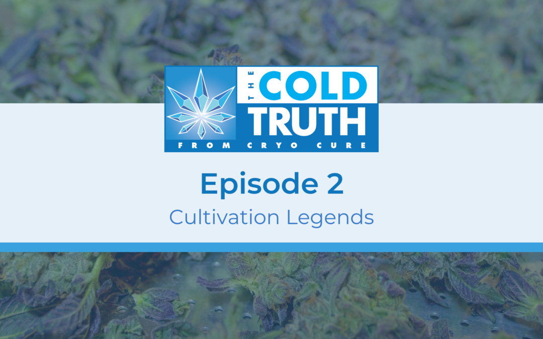 The Cold Truth Episode 2: Cultivation Legends, with Daniel Vinkovetsky